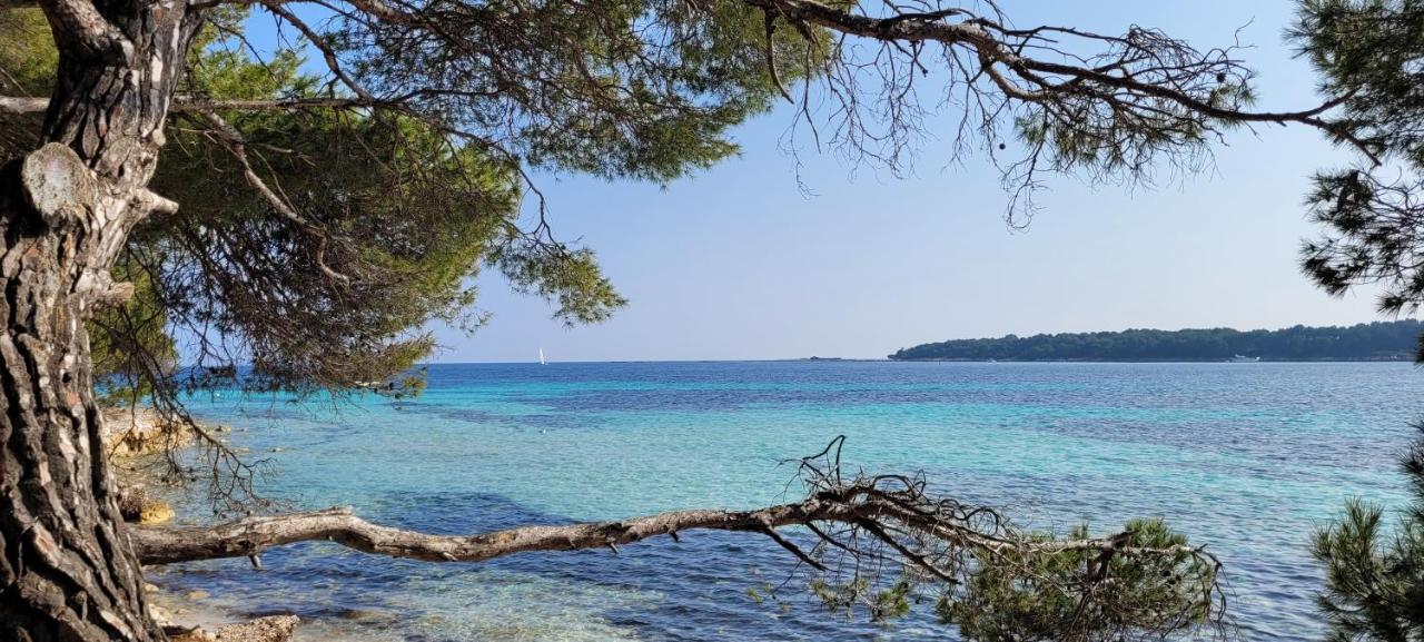 Les Grenadines Du Samedi Au Samedi Lejlighed Antibes Eksteriør billede